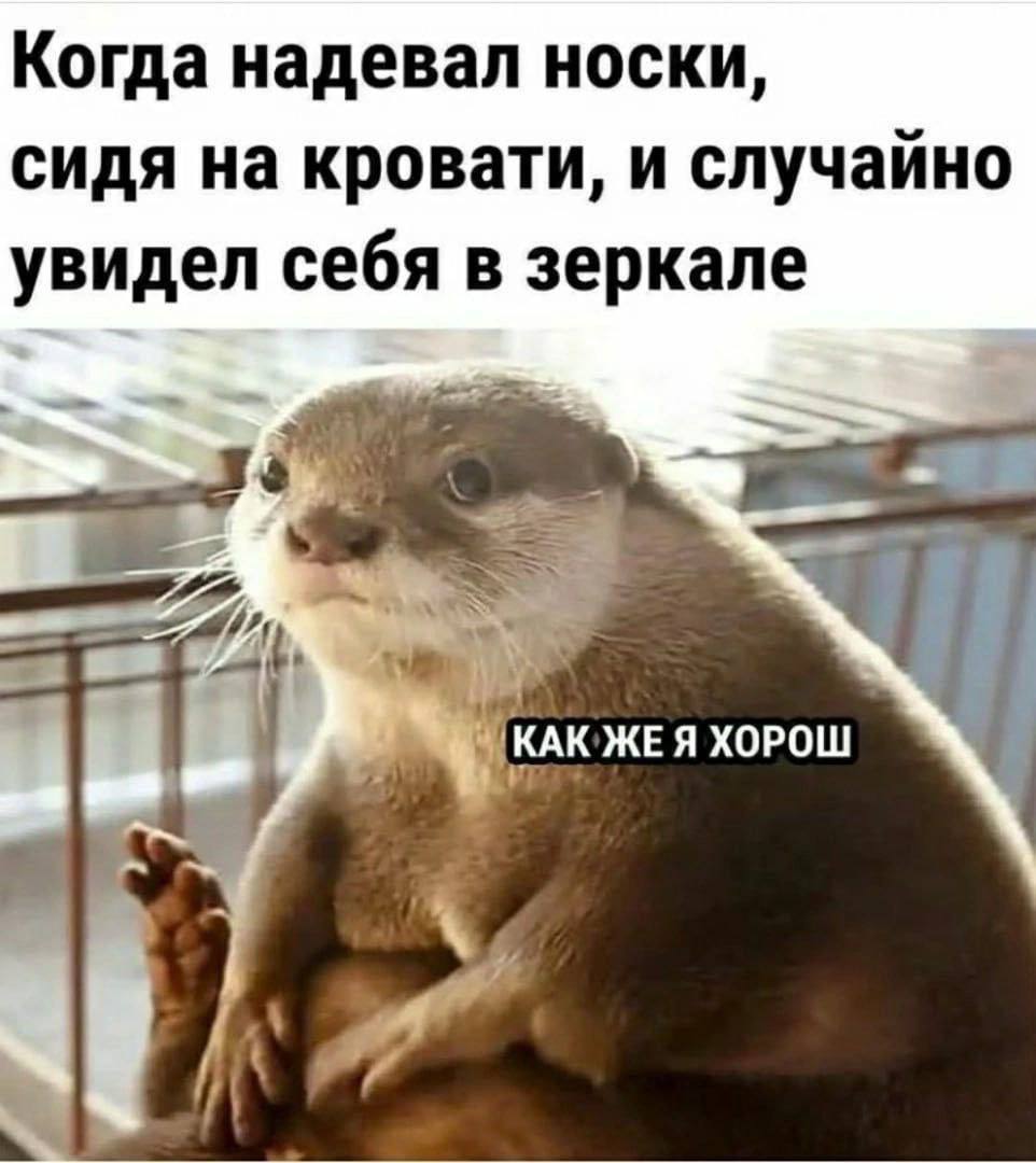 Когда надевал носки, сидя на кровати, и случайно увидел себя в зеркале КАК ЖЕЯ ХОРОШ a?
