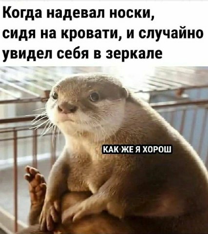 Когда надевал носки, сидя на кровати, и случайно увидел себя в зеркале КАК ЖЕЯ ХОРОШ a?