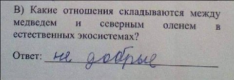 В) Какие отношения складываются между медведем И северным оленем В естественных экосистемах? Ответ: