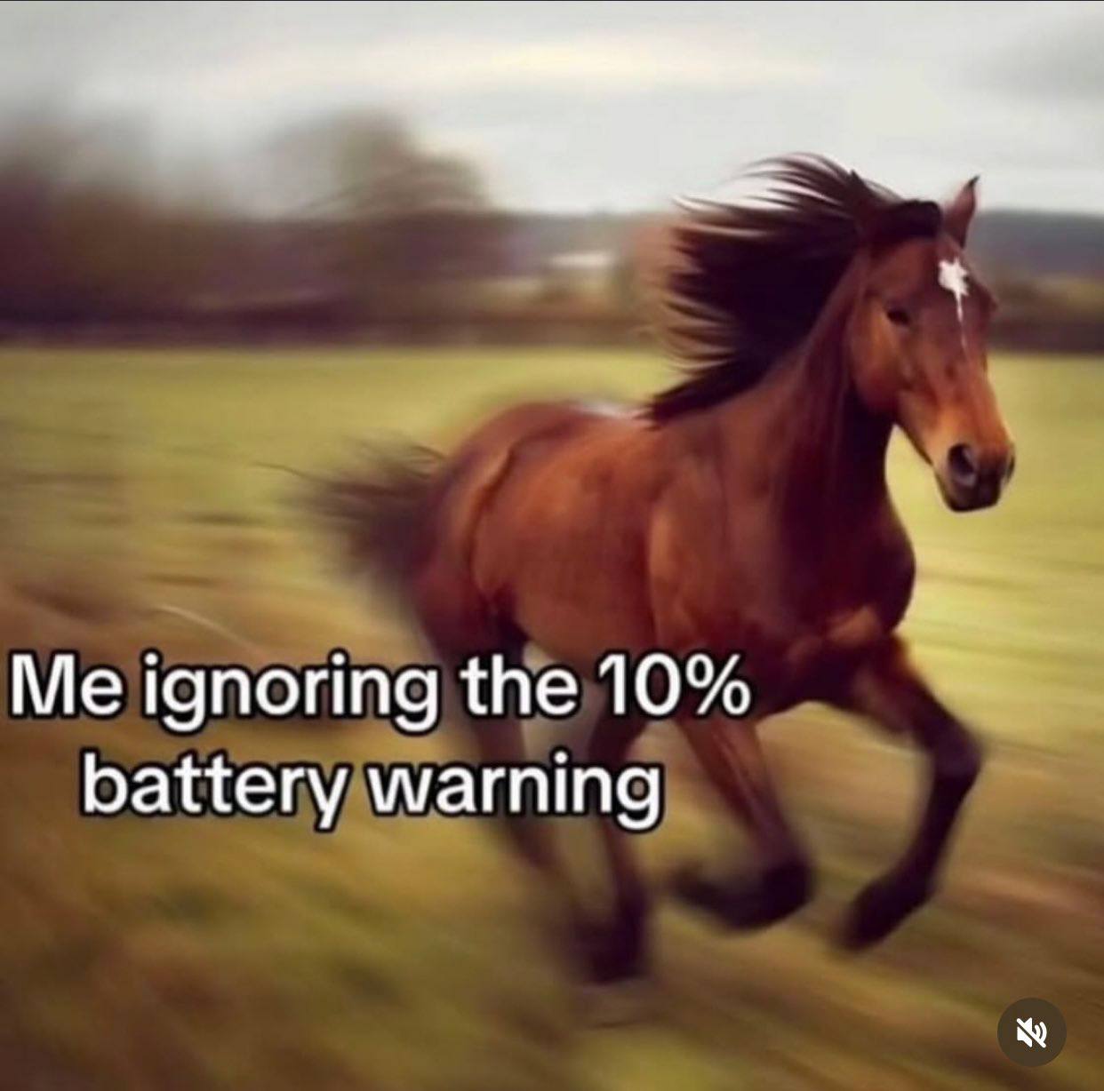 Me ignoring the 10% battery warning