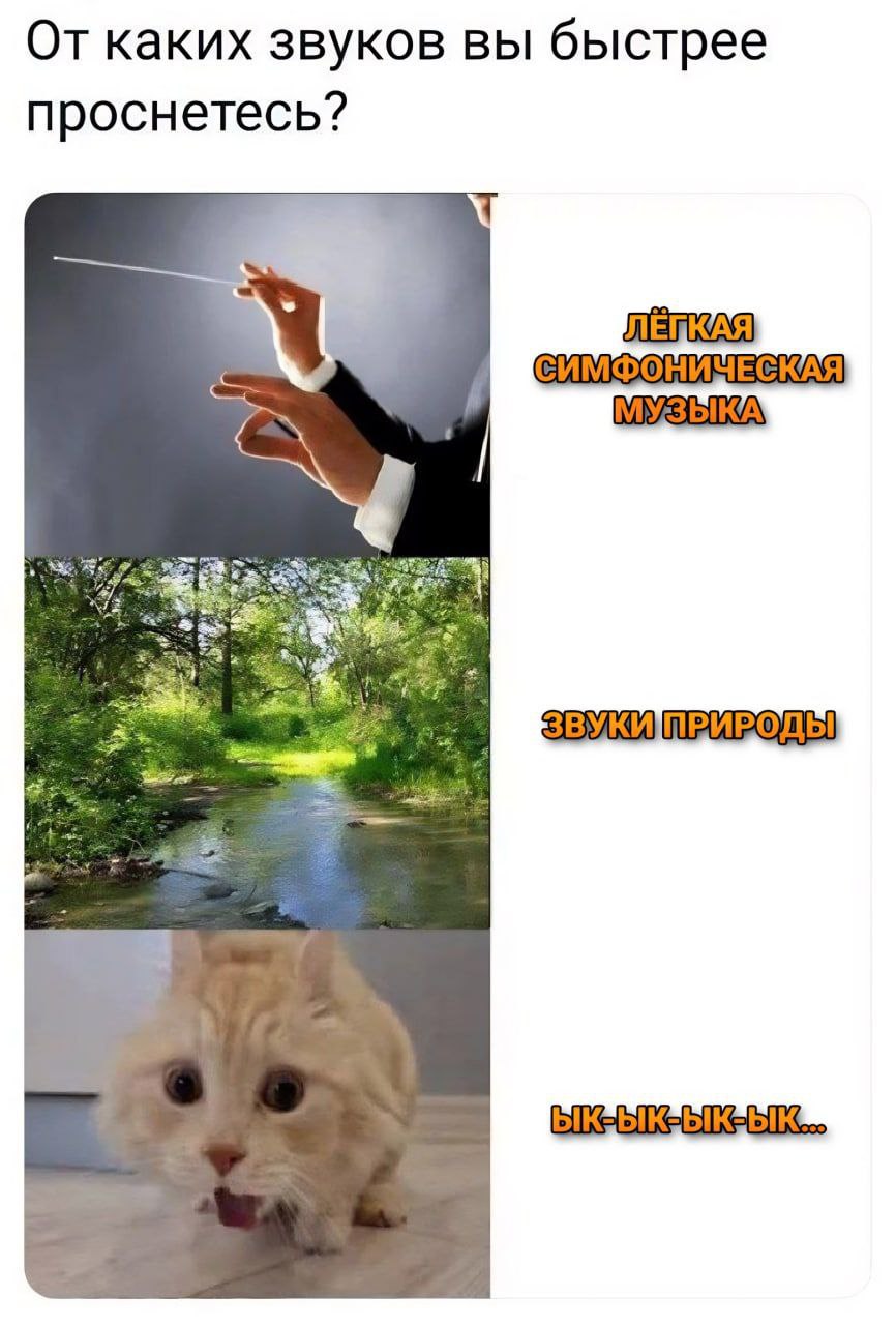 От каких звуков вы быстрее проснетесь? СИМФОНИЧЕСКАЯ
