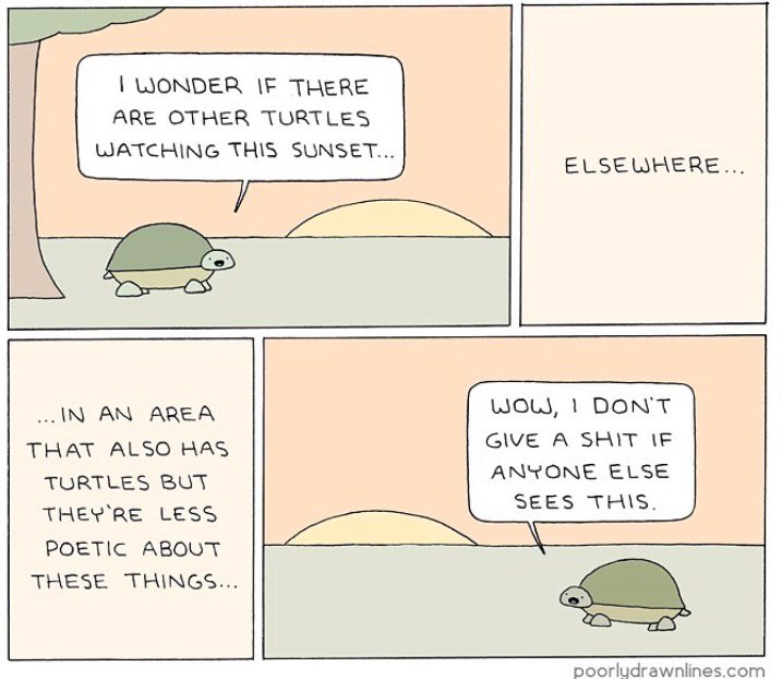WONDER IF THERE ARE OTHER TURTLES WATCHING THIS SUNSET... ELSEWHERE IN AREA WOL, 1 DON'T GIVE A SHIT THAT ALSO HAS ANYONE ELSE TURTLES BUT THEY LESS SEES THIS. POETIC ABOUT THESE THINGS.. poorludrawnl