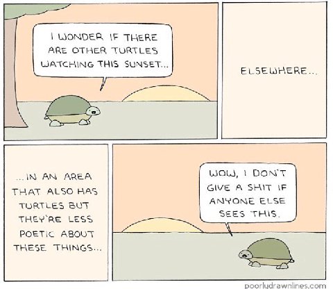 WONDER IF THERE ARE OTHER TURTLES WATCHING THIS SUNSET... ELSEWHERE IN AREA WOL, 1 DON'T GIVE A SHIT THAT ALSO HAS ANYONE ELSE TURTLES BUT THEY LESS SEES THIS. POETIC ABOUT THESE THINGS.. poorludrawnl