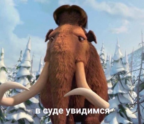 в суде увидимся” у у
