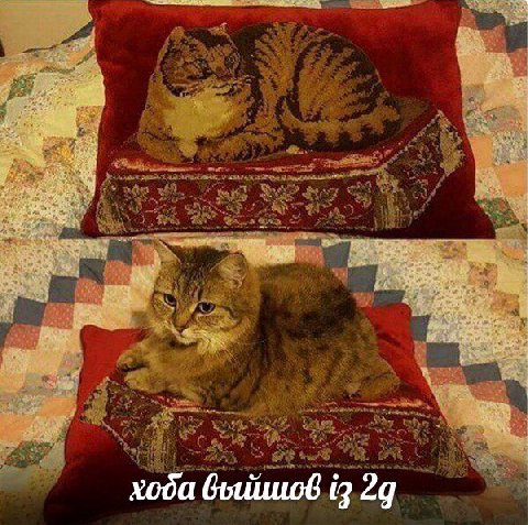 хода 29
