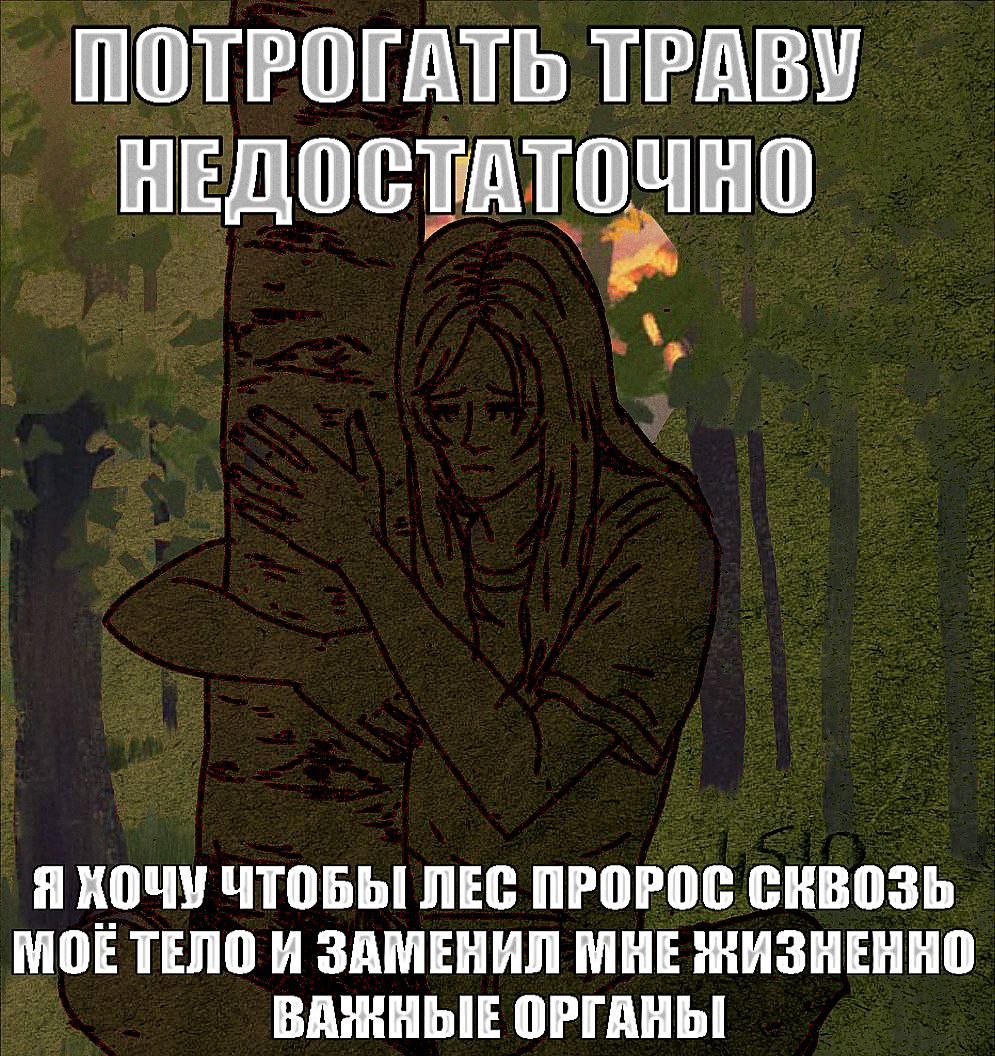 ПОТРОГАТЬ ТРАВУ НЕДОСТАТОЧНО Я КОЧУ ЧТОБЫ ЛЕС ПРОРОС СКВОЗЬ МОЕТЕЛО И ЗАМЕНИЛ МНЕ ЖИЗНЕННО ОРГАНЫ