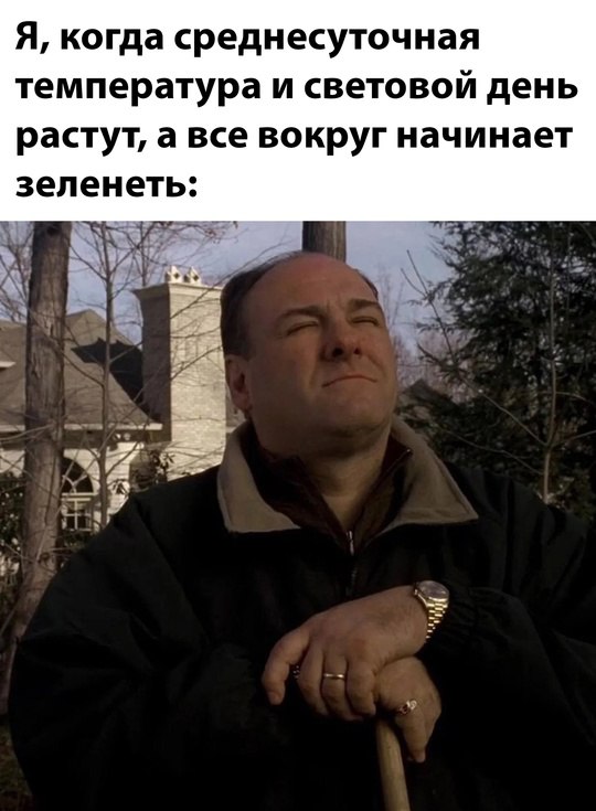 Я, когда среднесуточная температура и световой день растут, а все вокруг начинает зеленеть: