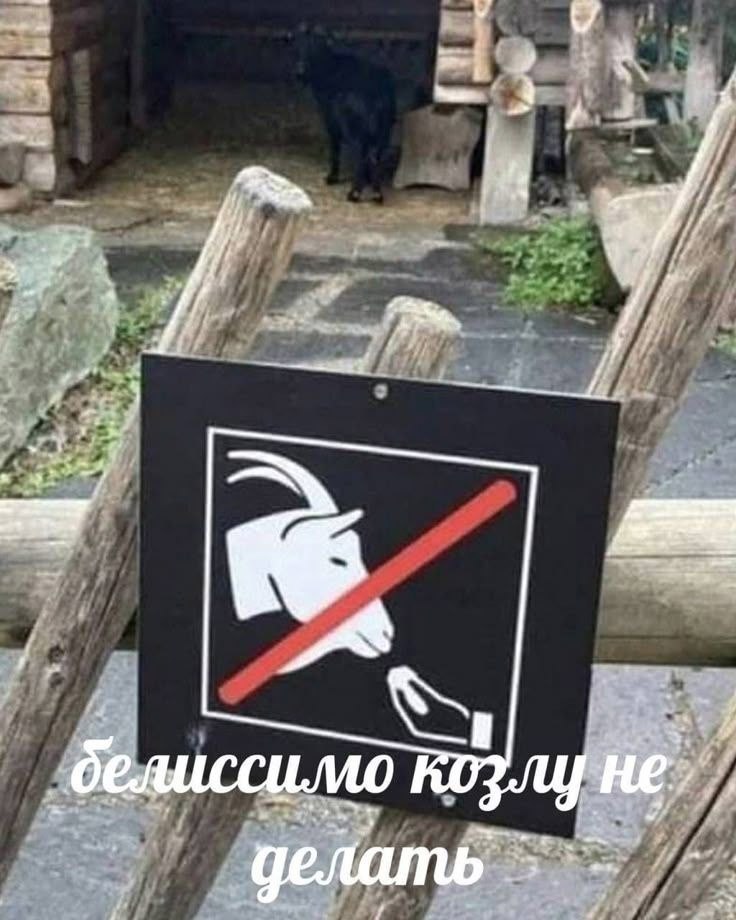4 Я A a делиссилмо козлу не. 7 я 7 on
