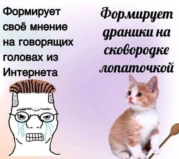 Формирует Формирует своё мнение драники на на говорящих сковородке головах из 1}