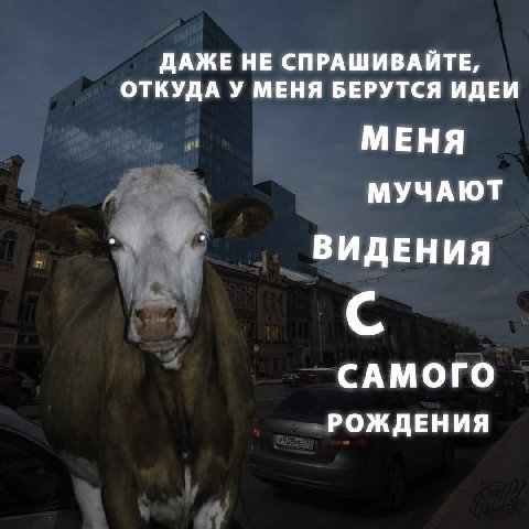 ДАЖЕ НЕ СПРАШИВАЙТЕ, ОТКУДА У МЕНЯ БЕРУТСЯ ИДЕИ МЕНЯ МУЧАЮТ ВИДЕНИЯ С САМОГО РОЖДЕНИЯ