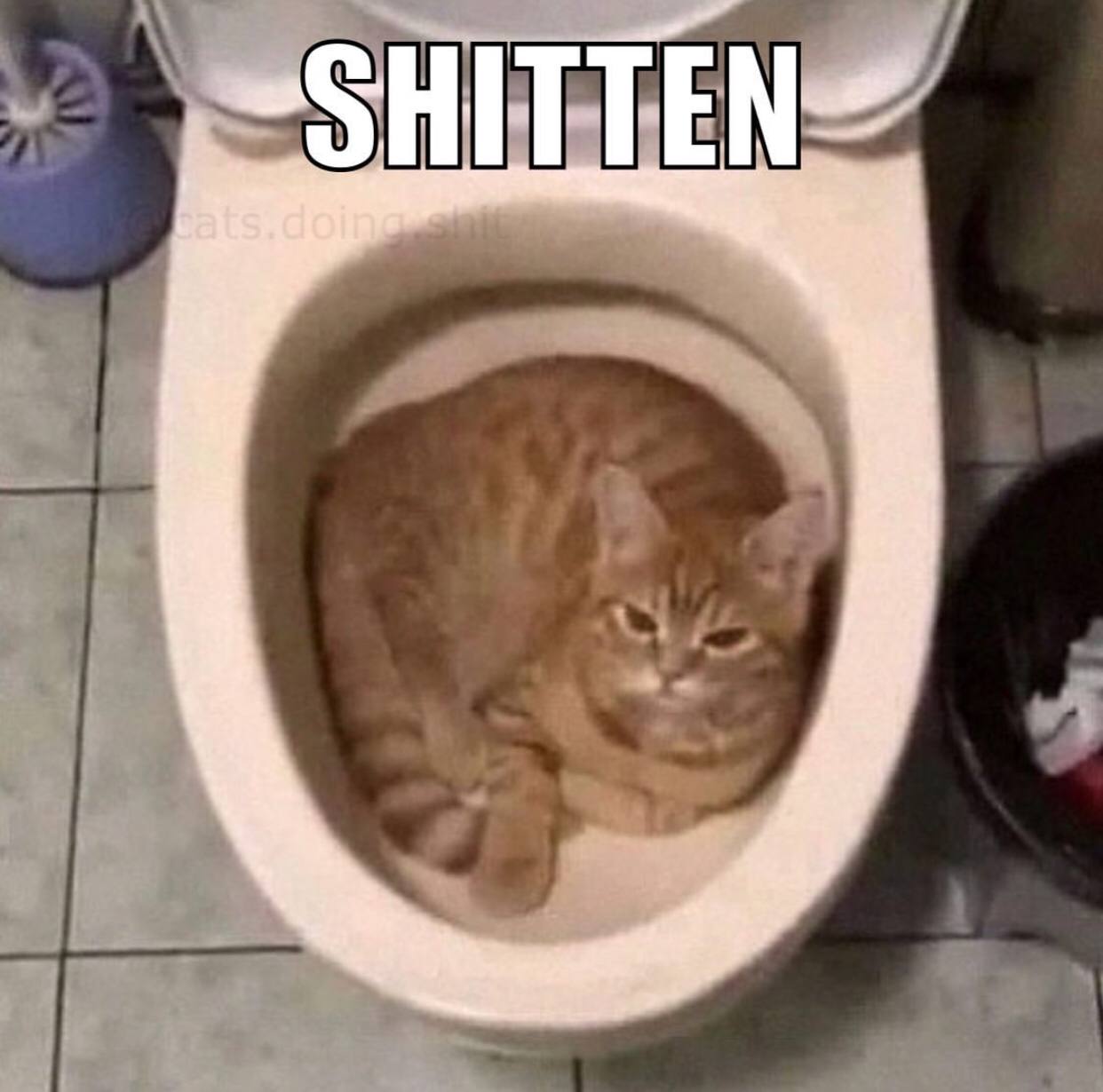 HITTE