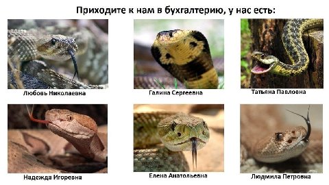 Приходите к нам в бухгалтерию, у нас есть: Be. Любовь Николаевна алина Сергеевна Татьяна Павловна 4 Надежда Игоревна Елена Анатольевна `Людмила Петровна