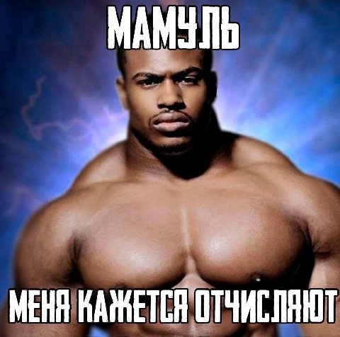 МАМУЛЬ apo МЕНЯ КАЖЕТСЯ