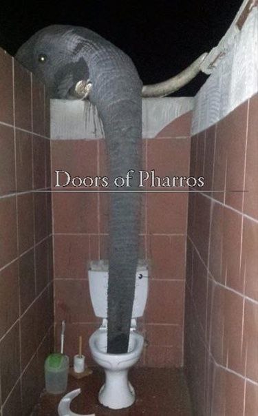 Doors