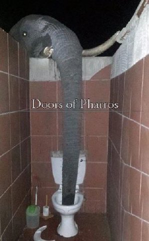 Doors