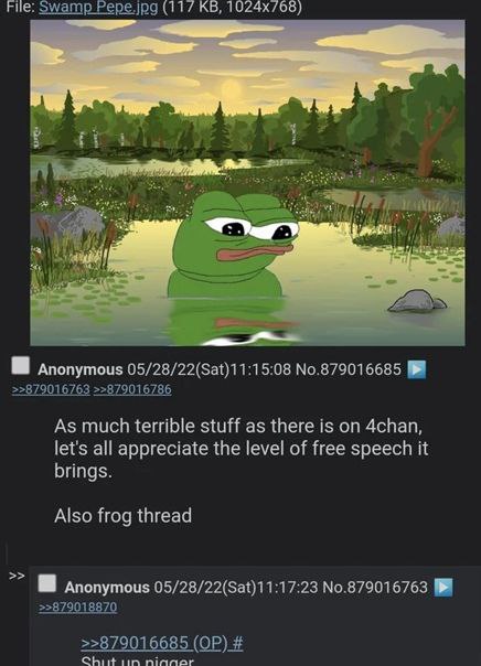 File: swamp Pepe.jpg (117 О anonymous 5:08 No.879016685 >>879016763 >>879016786 As much terrible stuff as there is 4chan, let's all appreciate the level of free speech it brings. Also frog thread anon