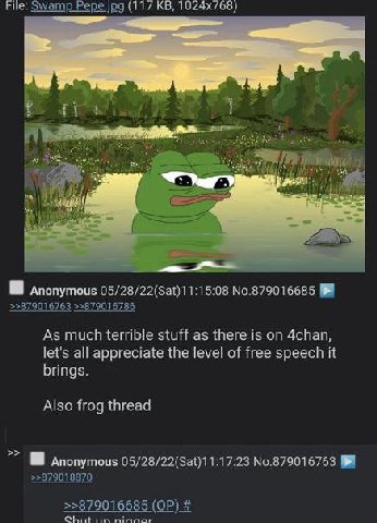 File: swamp Pepe.jpg (117 О anonymous 5:08 No.879016685 >>879016763 >>879016786 As much terrible stuff as there is 4chan, let's all appreciate the level of free speech it brings. Also frog thread anon