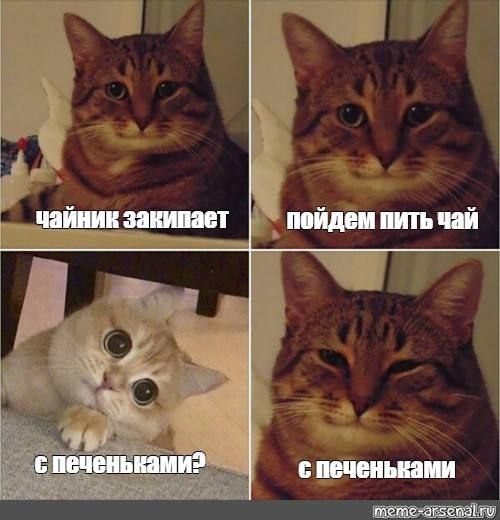 чайник закипает пойдем пить чай с с печеньвами meme-arsenal.ry