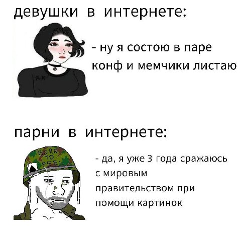 девушки в интернете: ну я состою в паре конф и мемчики листаю парни в интернете: да, я уже 3 года сражаюсь с мировым правительством при помощи картинок