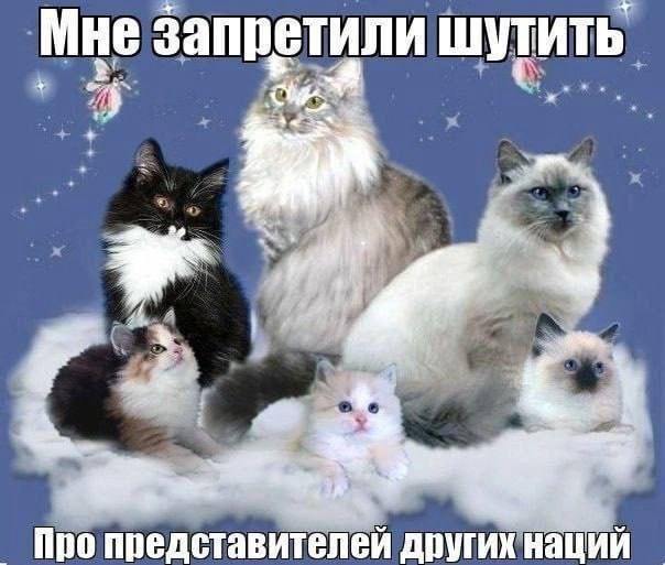 Мне запретили шутить Про представителей других