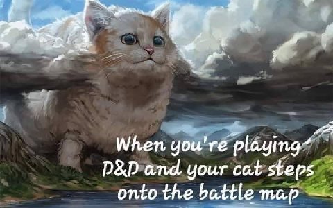 When you're and your cat steps onto the battle map