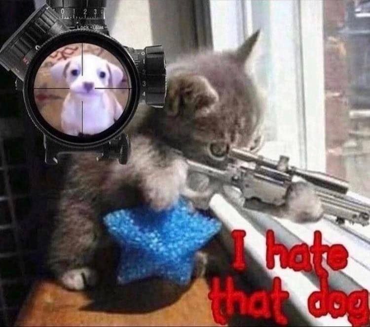 в 3 4