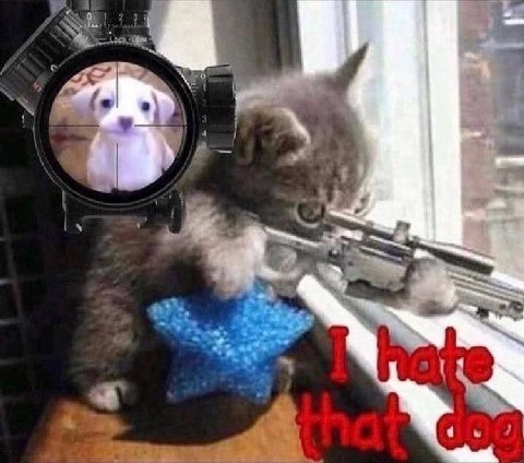 в 3 4
