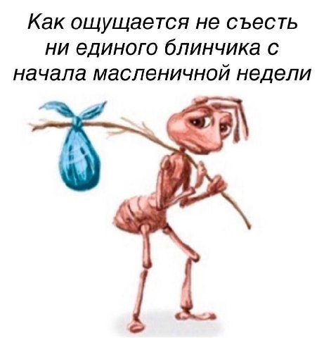 Как ощущается не съесть ни единого блинчика с начала масленичной недели