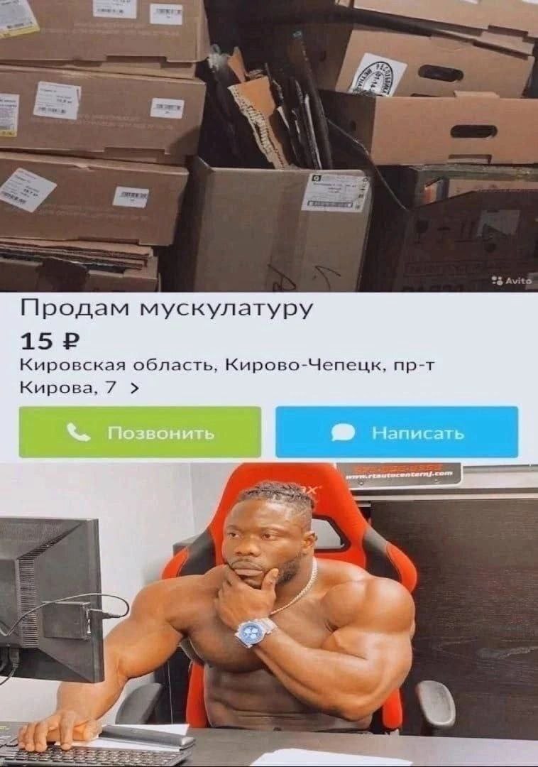 Продам мускулатуру 15 2 Кировская область; Кирово-Чепецк, пр-т Кирова, 7