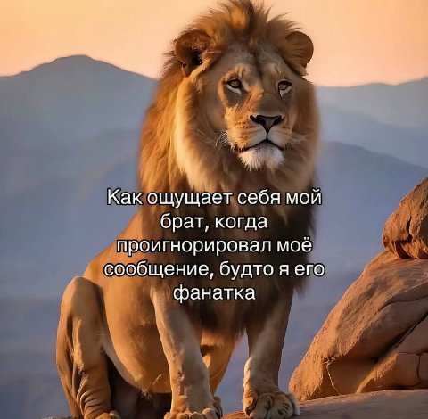 Перешли 😄