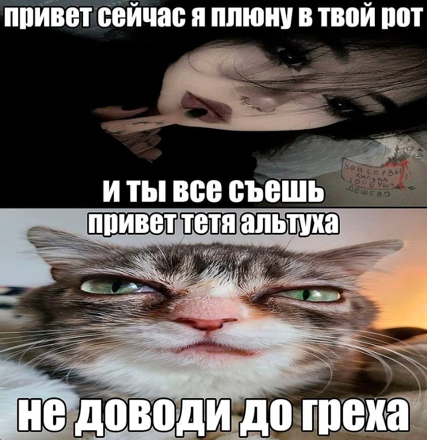 привет сейчас я плюну в твой пот ИТЫ BCE СЪЕШЬ привет тетя альтуха “8 не доводи до греха