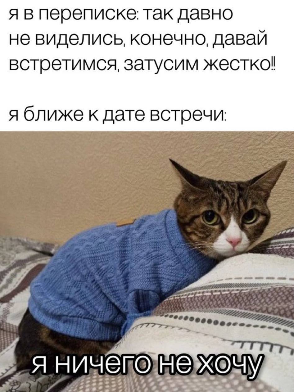 я впереписке: так давно не виделись, конечно, даваи встретимся, затусим жестко! я ближе к дате встречи Я 2% 3