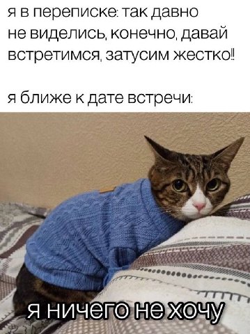 я впереписке: так давно не виделись, конечно, даваи встретимся, затусим жестко! я ближе к дате встречи Я 2% 3