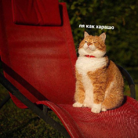 как харашо