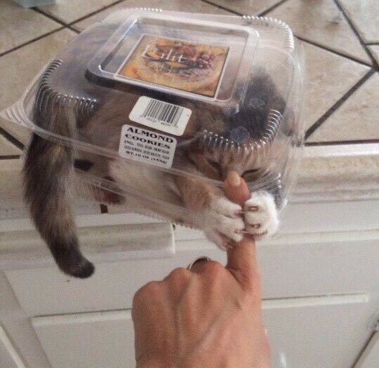 4 4 4 у Я я У i 4