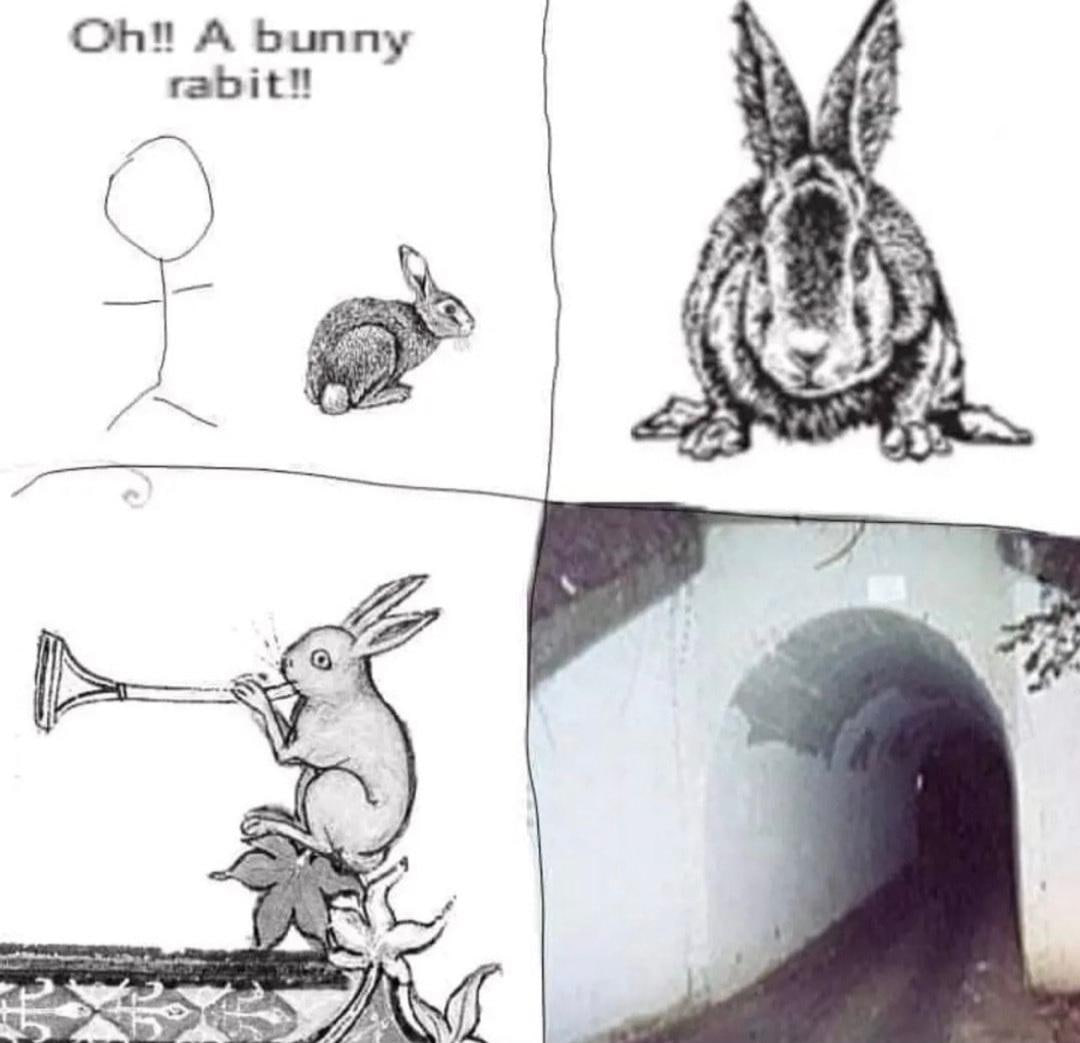 ОН! A bunny