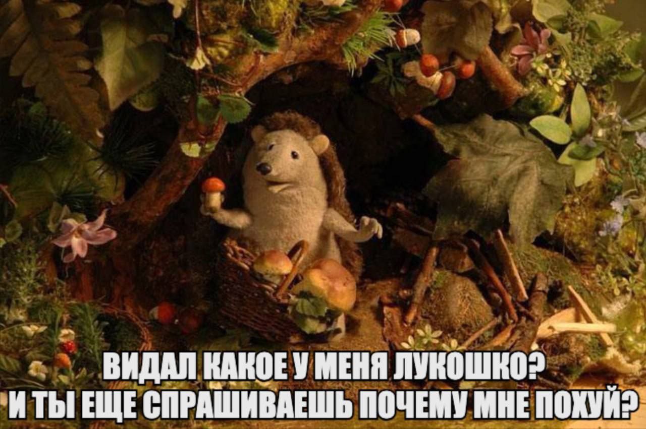 ВИДАЛ КАКОЕУ МЕНЯ ИТЫ ЕЩЕ СПРАШИВАЕШЬ ПОЧЕМУ МНЕ ПОХУЙ2
