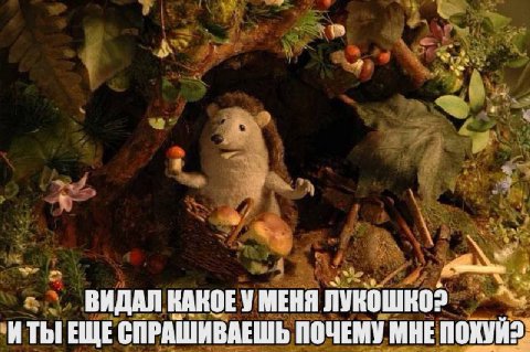 ВИДАЛ КАКОЕУ МЕНЯ ИТЫ ЕЩЕ СПРАШИВАЕШЬ ПОЧЕМУ МНЕ ПОХУЙ2