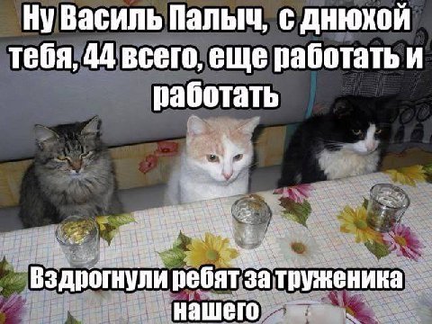 НуВасиль Палыч, с днюхой тебя, 44 всего, еще работать и работать Вздрогнули ребятзатруженика