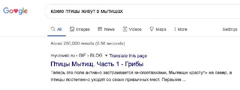 Govgle какие птицы живут в мытищах С А! Videos More Settings About 250,000 results (0.56 seconds) mycoweb.ru GIF BLOG у Translate this page Птицы Мытищ. Часть 1 Грибы Теперь это поле активно застраива