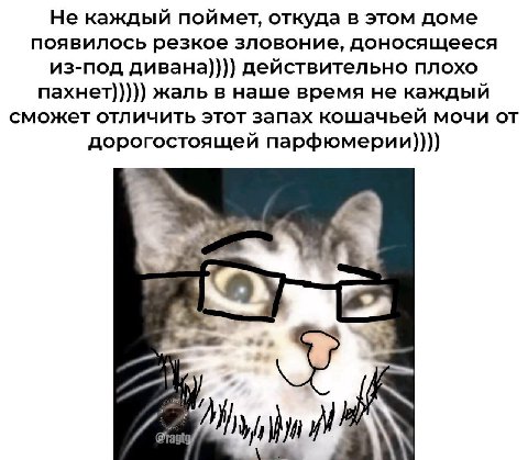 Не каждый поймет, откуда в этом доме появилось резкое зловоние, доносящееся из-под дивана)))) действительно плохо пахнет))))) жаль в наше время не каждый сможет отличить этот запах кошачьей мочи от до