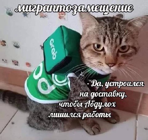 “if устроился, на доставку, ‘чтобы лишился радоты