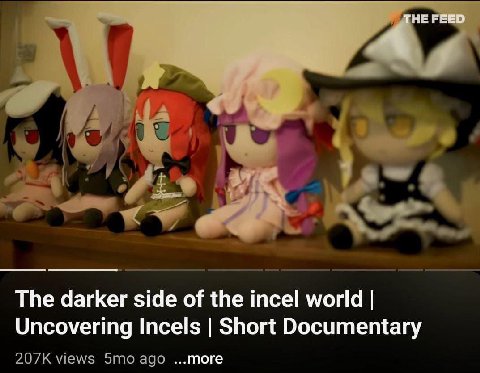 are The darker side of the incel world Uncovering Incels Short Documentary 207К views это ...more