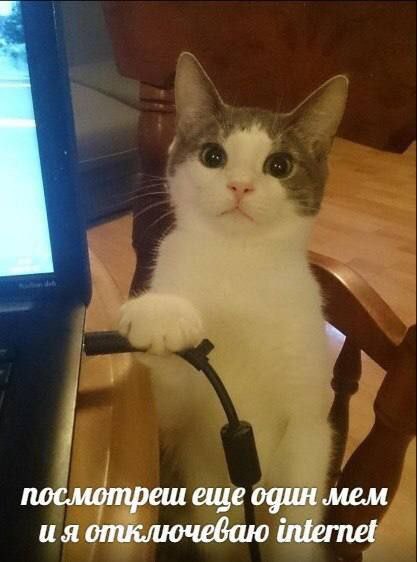 посмотреш еще один мем ияотключеваю internet