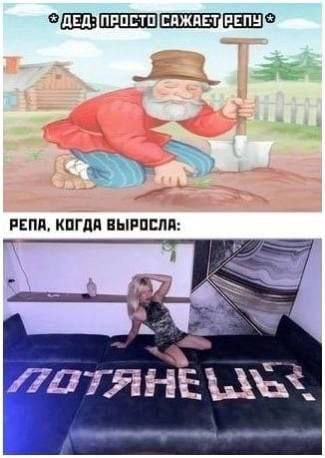 РЕПА, КОГДА ВЫРОСЛА: