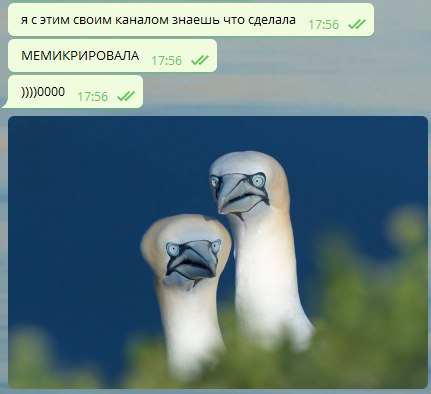 #друзьяадмина мой лучший диалог за сегодня
