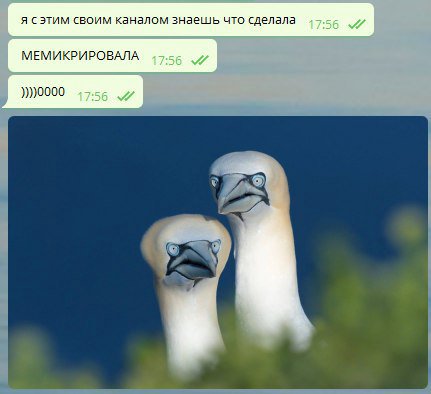 #друзьяадмина мой лучший диалог за сегодня