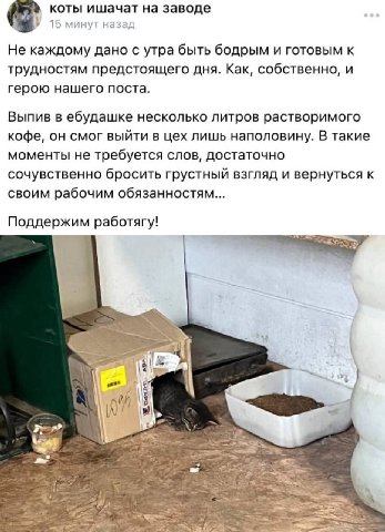 коты ишачат заводе у 15 минут назад Не каждому дано с утра быть бодрым и готовым к трудностям предстоящего дня. Как, собственно, и герою нашего поста. Выпив в ебудашке несколько литров растворимого ко