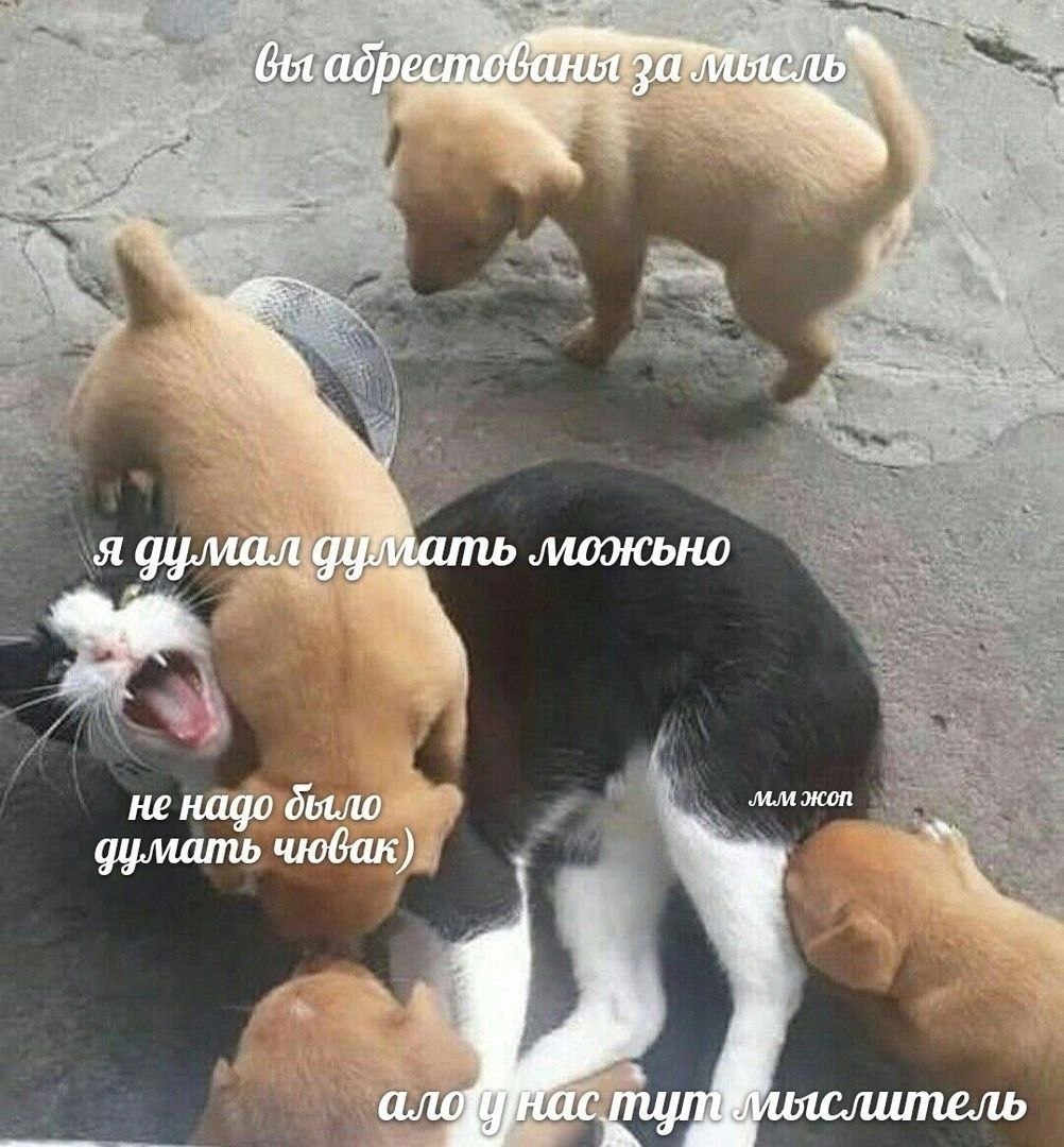 бы абр 4 я думал a не надо было думать чювак)