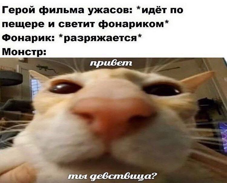 Герой фильма ужасов: *идёт по пещере и светит фонариком* Фонарик: *разряжается* Монстр: привет дебствВица?